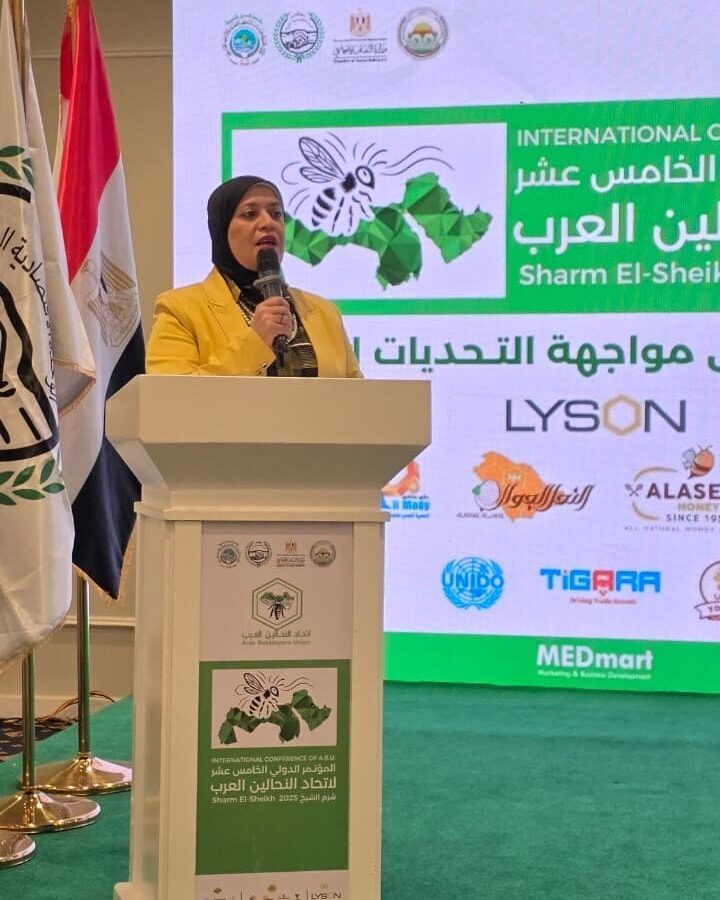 597670069_1273126498187146_3940623582264309151_n